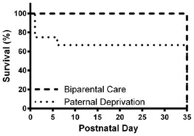 Enduring Effects of Paternal Deprivation in California Mice (Peromyscus californicus): Behavioral Dysfunction and Sex-Dependent Alterations in Hippocampal New Cell Survival